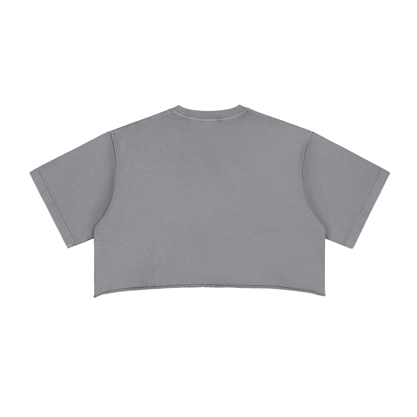 1886 Silver Snow Washed Raw Edge Crop Top