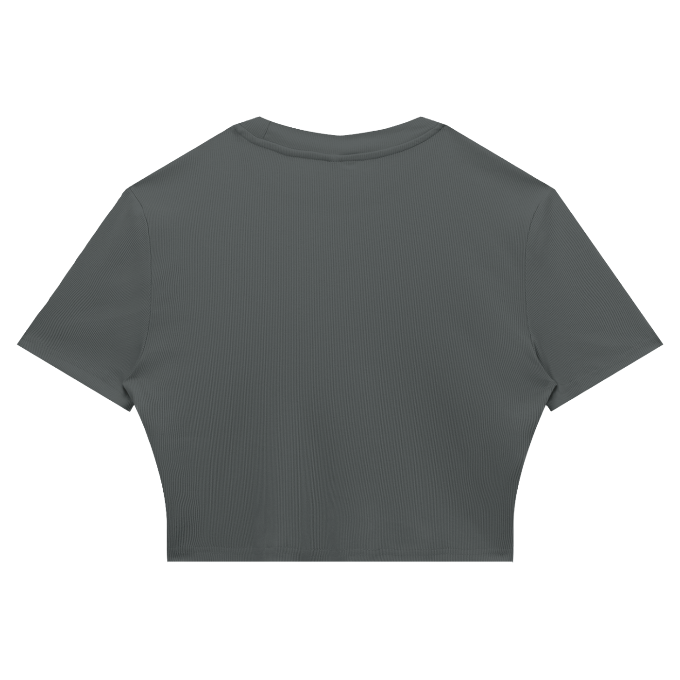 Automania Women's Slim Ribbed Crop T-Shirt