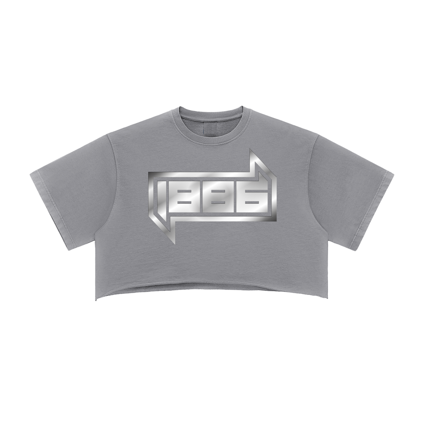 1886 Silver Snow Washed Raw Edge Crop Top