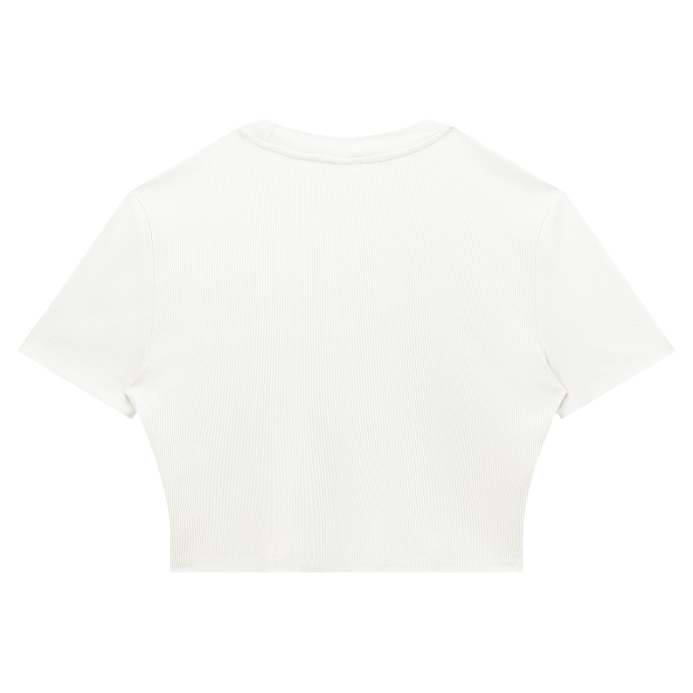 Automania Women's Slim Ribbed Crop T-Shirt