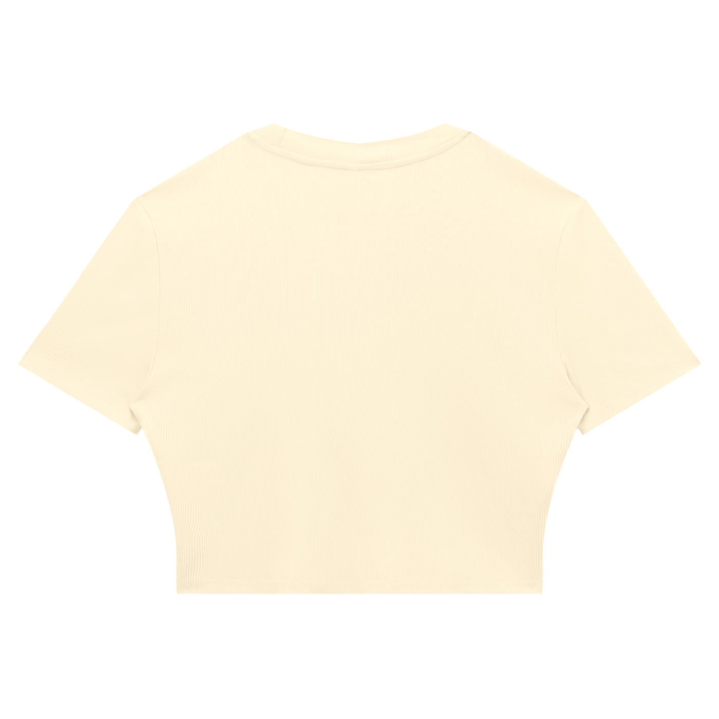 Automania Women's Slim Ribbed Crop T-Shirt