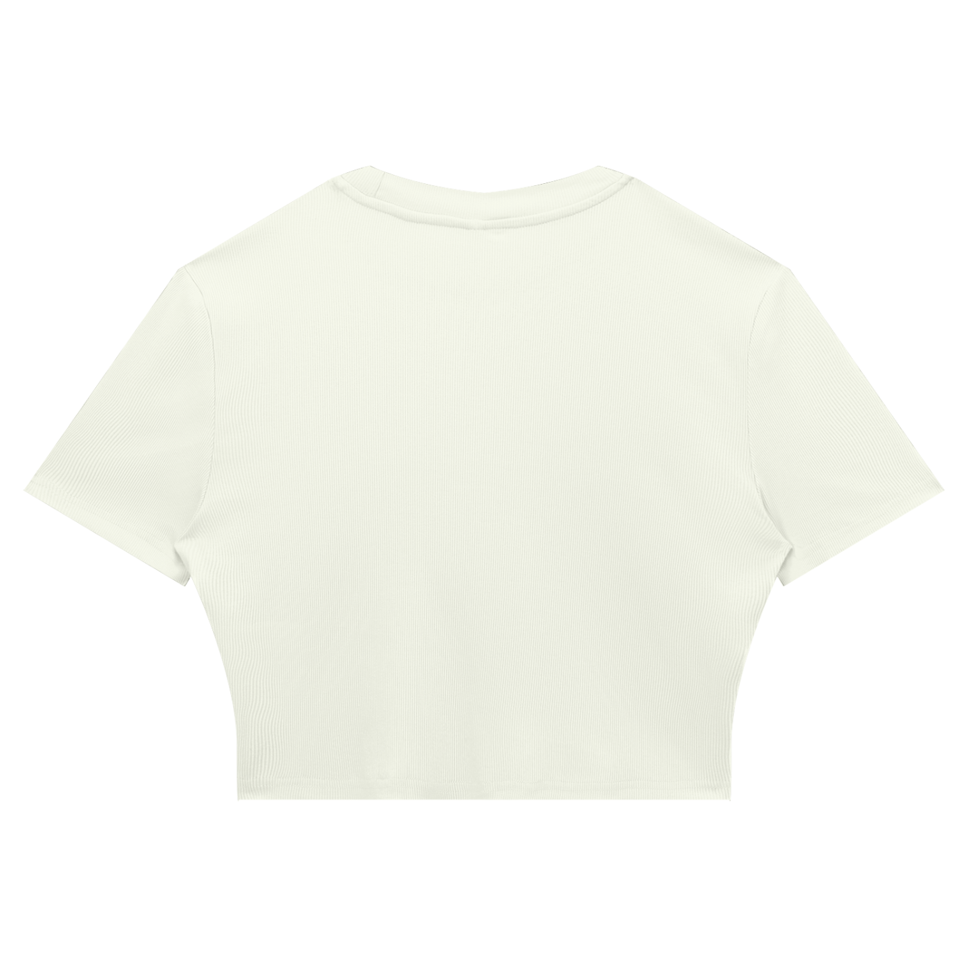 1886 Gold Women's Slim Ribbed Crop T-Shirt