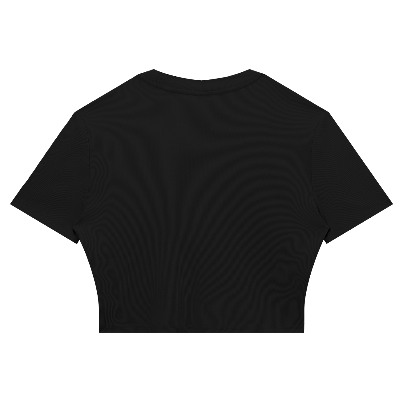 1886 Gold Women's Slim Ribbed Crop T-Shirt