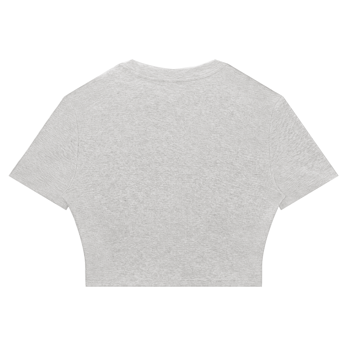 1886 Silver Women's Slim Ribbed Crop T-Shirt