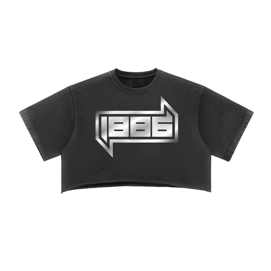 1886 Silver Snow Washed Raw Edge Crop Top