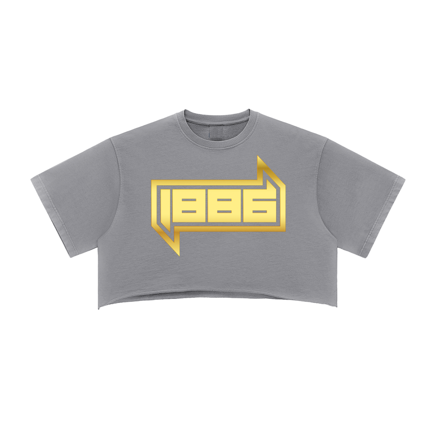 1886 Gold Snow Washed Raw Edge Crop Top